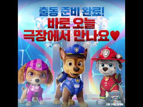 [퍼피 구조대 더 무비] D-DAY #shorts