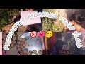 morning to night ✨🌜💢🧠routine of my life in 🎯 village study 📚vlog #students #study #rrb #mpcho 