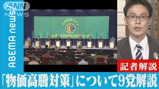 【解説】9党の政策紹介シリーズ第2弾「物価高騰対策」テレビ朝日政治部・杉本慎司記者(2022年7月5日)【ABEMA NEWS】