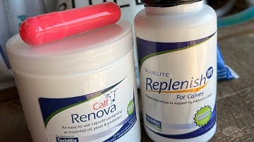 Treat young calves with scours as soon as possible