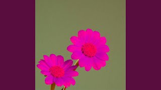 Spacious Energetic Focusing