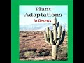 Adaptations of  deserts plants  cactus for kids