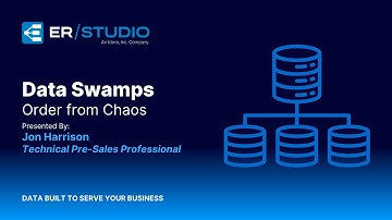 Data Swamps: Order from Chaos