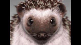 Аркона. Ватикан. Венды. Этруски. Славяне... Аркона. Ватикан. Венды. Этруски. Славяне...