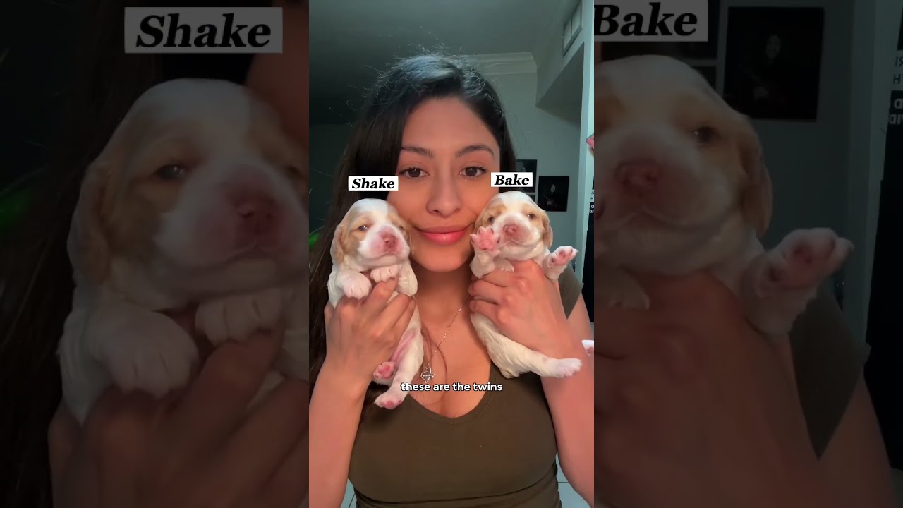 Feeding The Babies Shorts