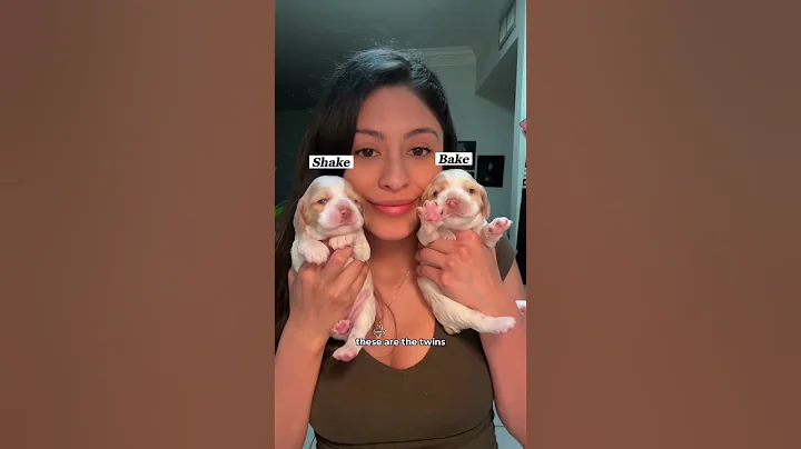 Feeding the babies! 🍼 #shorts - DayDayNews