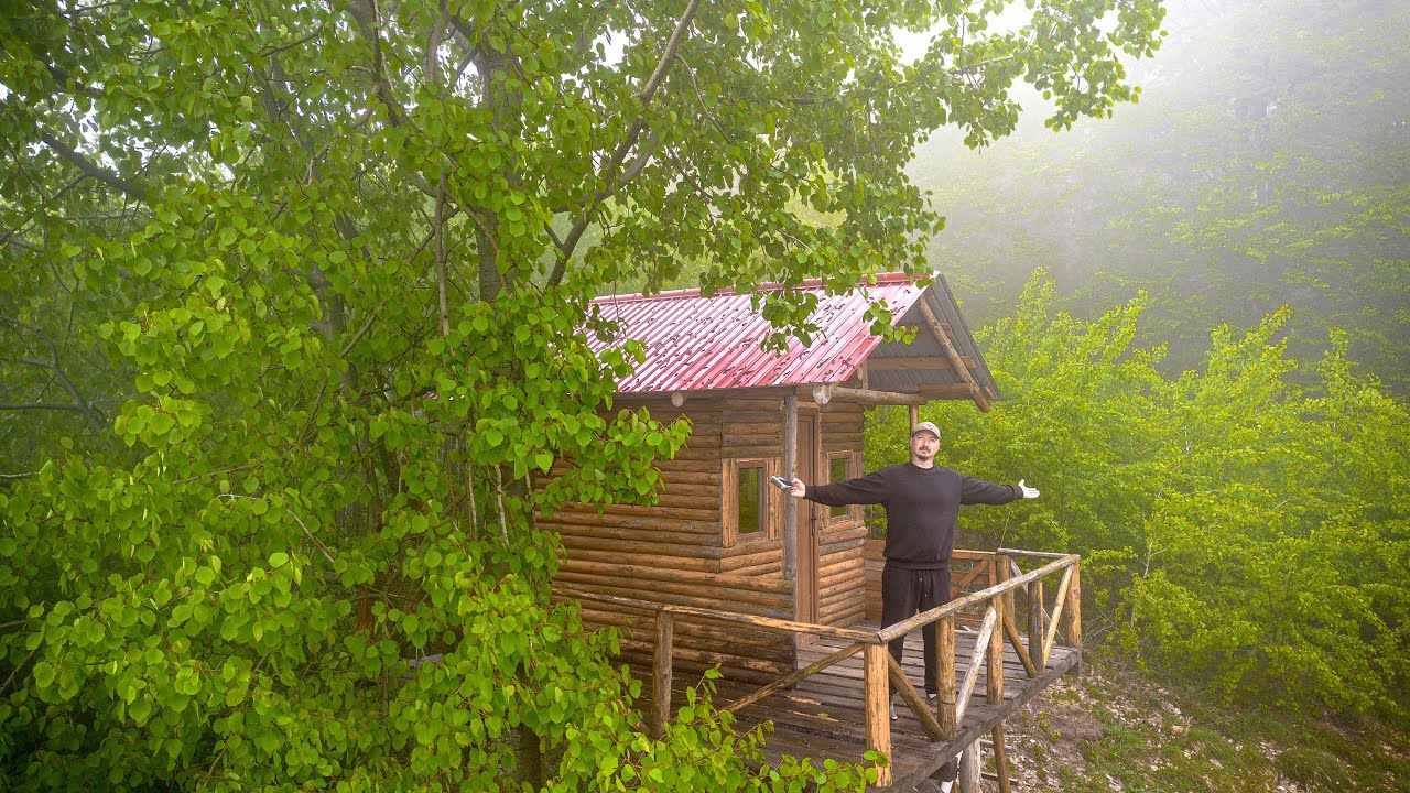 Dorm O Noapte In Casuta Din Copac