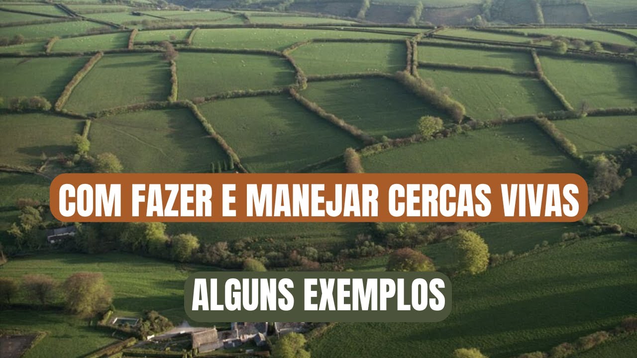 Como fazer e manejar cercas vivas. Alguns exemplos.