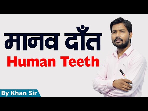 मानव दांत | Human Teeth | Biology | by Khan GS