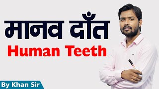 मानव दांत | Human Teeth | Biology | by Khan GS screenshot 5