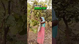 Sakam Hej Kuri!🤣😅 #shortvideo #santali #funnyvideo #funnyshorts #trendingshorts #tuduboyha