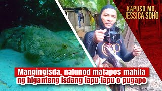 Mangingisda, nalunod matapos mahila ng higanteng isdang lapu-lapu o pugapo | Kapuso Mo, Jessica Soho