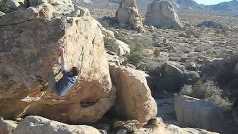 Not So Thin Lizzy - V3 - Joshua Tree