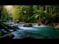 Peaceful Wilderness River 🍃 | Natural Birdsong and Water Sounds for Total Relaxation
