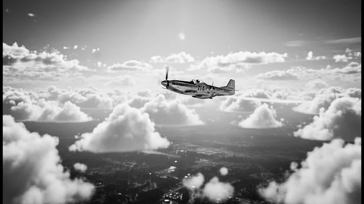 German Pilots Were Stunned When American P 51s Escorted Bombers All the Way to Berlin