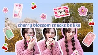 Cherry Blossom Taste Test + Ilsan Lake Park Picnic! •• 벚꽃음료 솔직 리뷰 + 일산 호수 공원 나들이