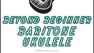 Beyond Beginner Lesson 5 Net Worth