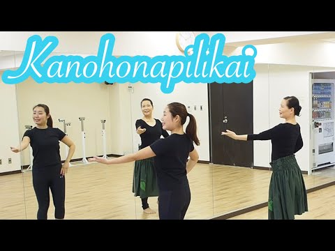 踊ってみた【Kanohonapilikai/カノホナピリカイ】