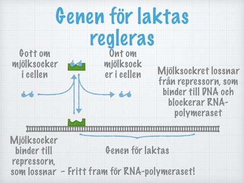 Video: Vad gör förtryckbara operoner?