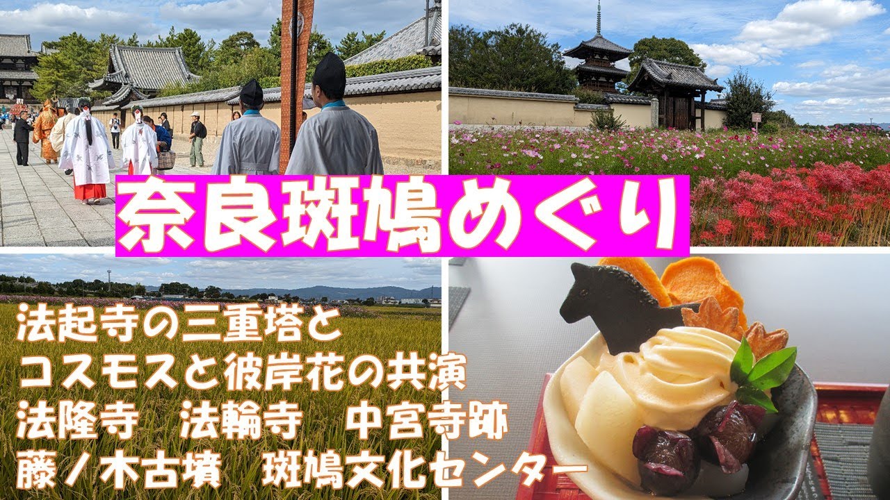 奈良・コスモスと彼岸花と三重塔の共演！【秋の斑鳩めぐり】法隆寺・法輪寺・法起寺の斑鳩三塔とコスモスの名所。藤ノ木古墳、斑鳩文化財センターも。