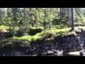 Rosiu in norwey