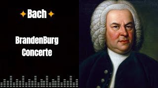 |Bach| [Brandenburg Concerte]