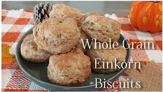 Whole Grain Einkorn Biscuits -Hearty and Delicious 