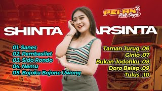 Bojoku Bojone Uwong  Shinta Arsinta   Album Dangdut Cover shintaarsinta 2023