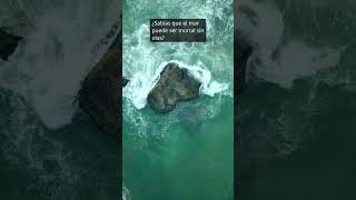 Curiosidades_de_El mar puede ser mortal sin olas