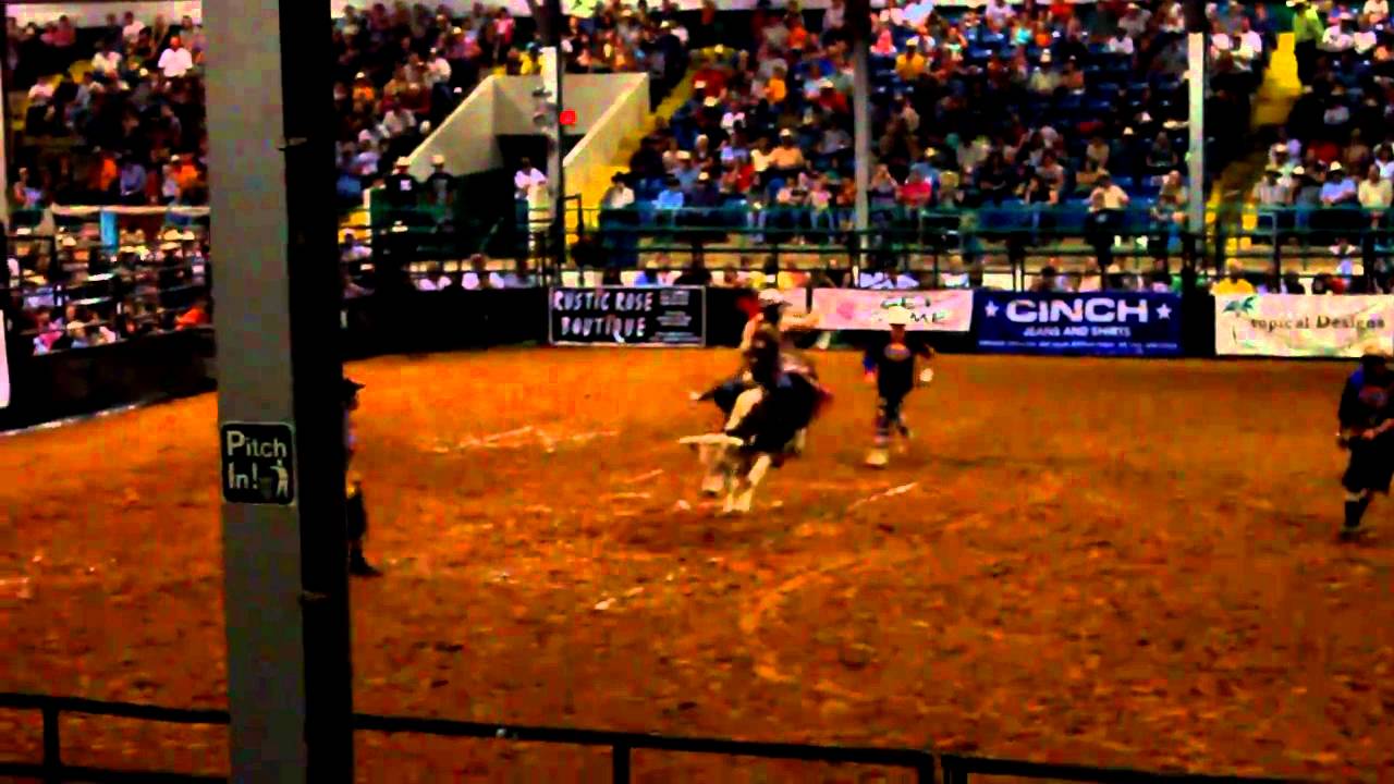Chaos in Ardmore PBR w Tristan Mize- Big D mini Bucking Bulls, mini bucking bull