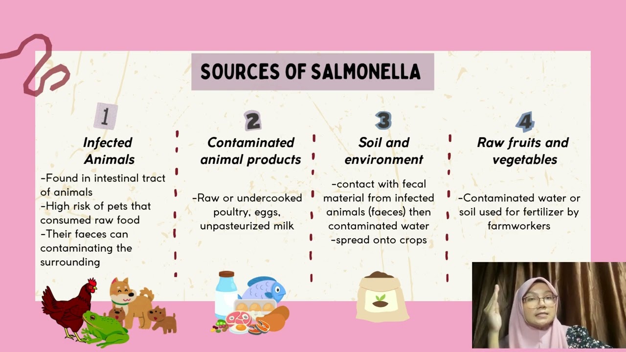 NAD529- Food pathogenic bacteria ( Salmonella SP ) by HS2571A