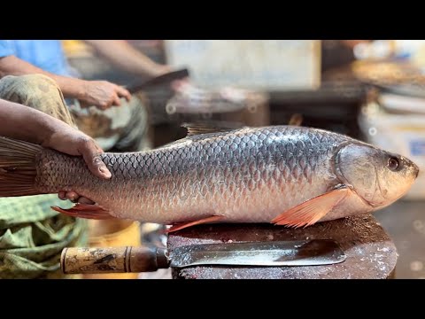 Amazing Fish Cutting Skills || Giant Rohu Fish Cutting Skills Live In ...