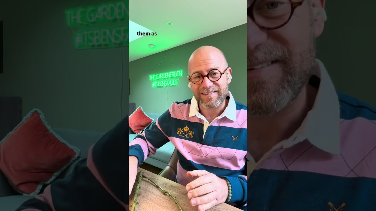 Помогаем вам найти точку приживаемости почки! Даже под колючками! #садовник