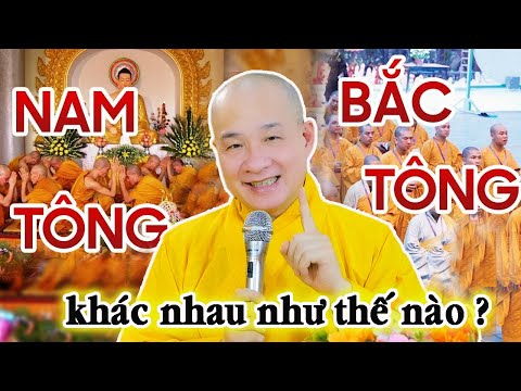 Vấn Đáp: NAM TÔNG và BẮC TÔNG khác nhau như thế nào? - Thầy Thích Trí Huệ