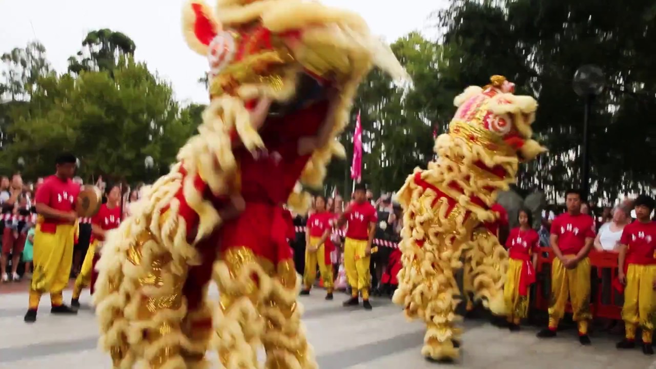 Chinese New Year Celebrations – Highlights from 2016 - YouTube
