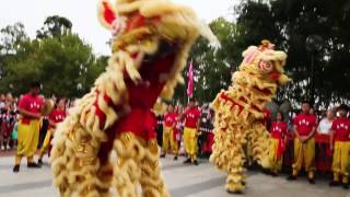 Chinese New Year Celebrations – Highlights from 2016