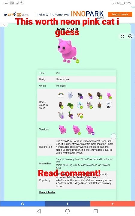 This Is Neon Pink Cat Worth YouTube this-is-neon-pink-cat-worth-youtube