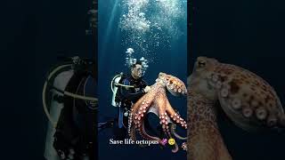 save life octopus 😌🦑 #youtubeshorts #ytshorts #ai #viralshort #explore #youtube #edit #yt #india