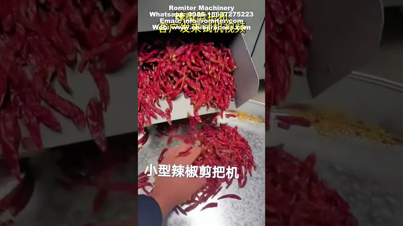 Automatic Dry Chili Stem Cutting Machine for Sale