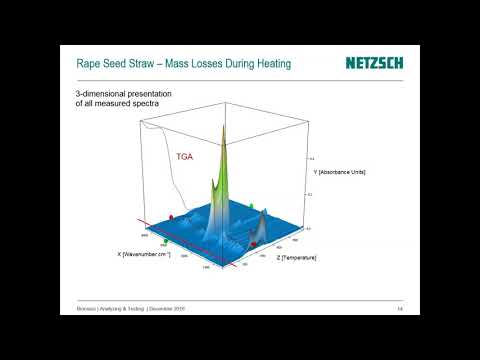 Video: Kinetics Of Philistinism