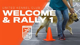 Learn the Beginner Rally Obedience Exercises | UKC Rally Obedience