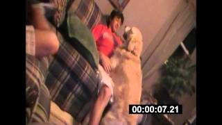 Random Clip's Of The Week- Dog Hump's Boy Hard Random Clip's Of The Week- Dog Hump's Boy Hard