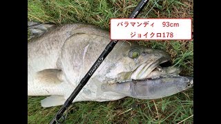 パックロッドで巨大怪魚 バラマンディ94cmを釣る テイルウォークナマゾンモバイルC594XH ルアーはバラマンディが吐き出したジョイクロ178 Thailand pilot111 part4