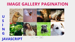 Image Gallery  Pagination using by Html Css Javascript