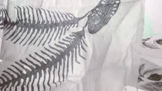 Forelsket At Nomad Gallery With Vintage Parlor Orchestra