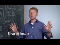 Visual Latin | Sample Lesson 1A | Being Verb Basics - To Be and Not To Be