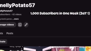 Trying to Get 1,000 Subscribers in One Week (DAY 1)