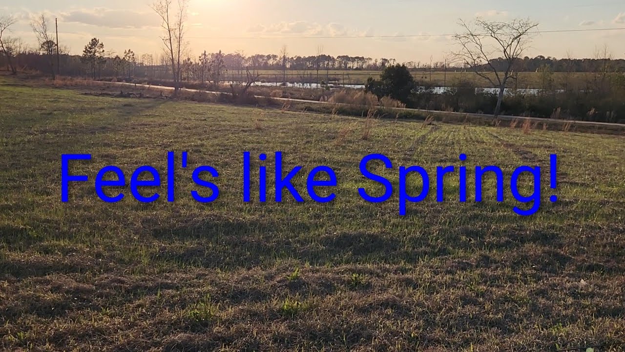 Spring-like weather today! #spring 