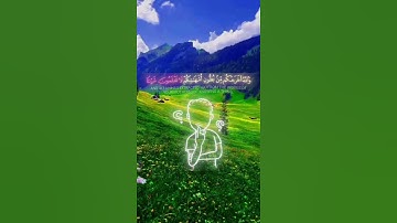 قران كريم #اكسبلور #الرحمن #دويتو #القرميد #duet #القزابري #راحة_نفسية #المراه #تيك_توك #الثامن