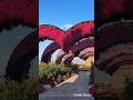 Նորաբաց Նոյի Այգի~Miracle Noah's Garden Armenia